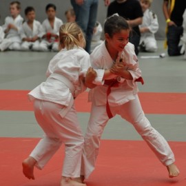 DSC 0446  Small - Judoclub Zaventem 